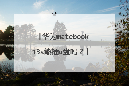 华为matebook13s能插u盘吗?
