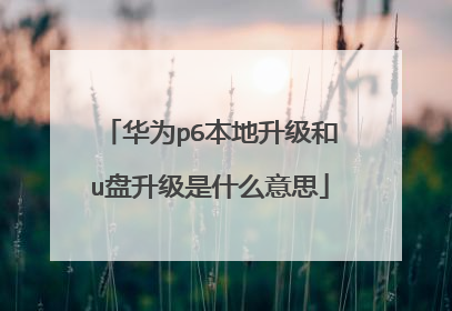 华为p6本地升级和u盘升级是什么意思
