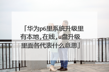 华为p6里系统升级里有本地,在线,u盘升级里面各代表什么意思