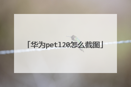 华为petl20怎么截图
