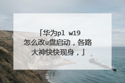 华为pl w19 怎么改u盘启动，各路大神快快现身，