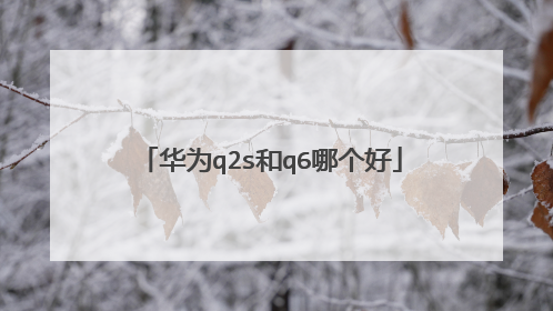华为q2s和q6哪个好