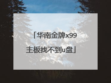 华南金牌x99主板找不到u盘