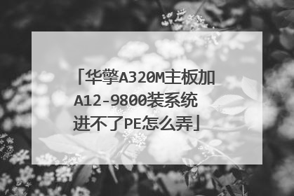 华擎A320M主板加A12-9800装系统进不了PE怎么弄