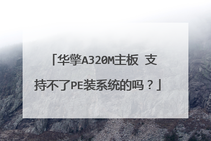 华擎A320M主板 支持不了PE装系统的吗?