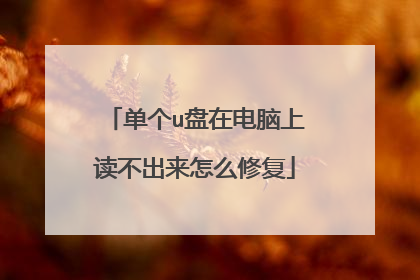 单个u盘在电脑上读不出来怎么修复