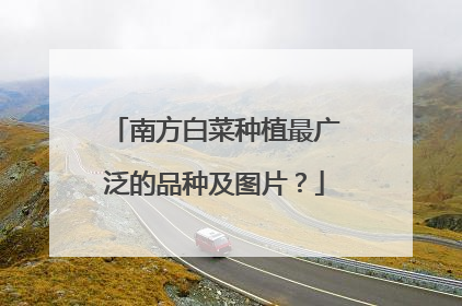南方白菜种植最广泛的品种及图片?