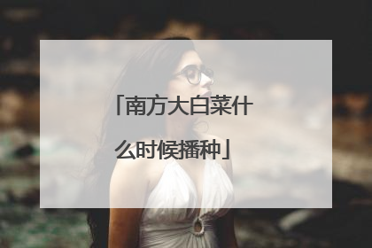 南方大白菜什么时候播种