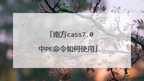 南方cass7.0中PE命令如何使用