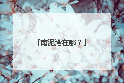 南泥湾在哪?