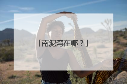 南泥湾在哪？