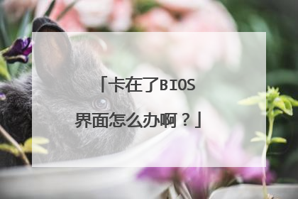 卡在了BIOS界面怎么办啊?