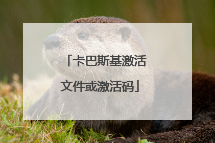 卡巴斯基激活文件或激活码