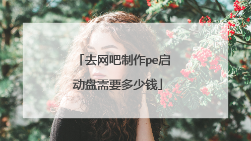 去网吧制作pe启动盘需要多少钱