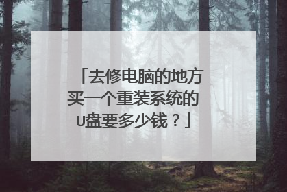 去修电脑的地方买一个重装系统的U盘要多少钱?