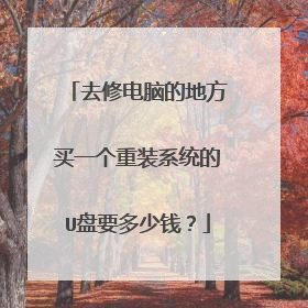 去修电脑的地方买一个重装系统的U盘要多少钱?
