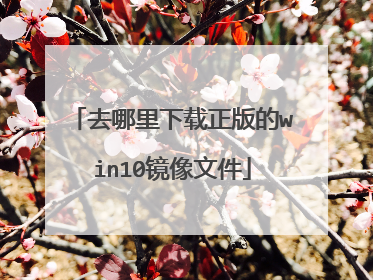 去哪里下载正版的win10镜像文件