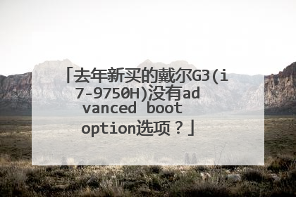 去年新买的戴尔G3(i7-9750H)没有advanced boot option选项?