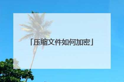 压缩文件如何加密