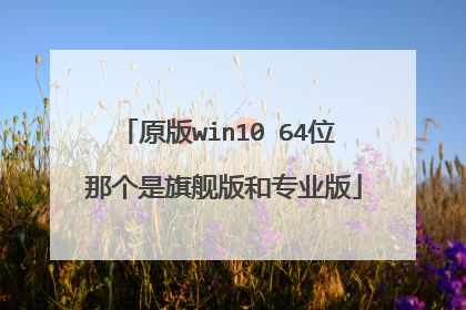 原版win10 64位 那个是旗舰版和专业版