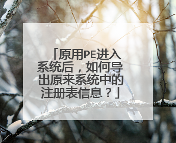 原用PE进入系统后,如何导出原来系统中的注册表信息?