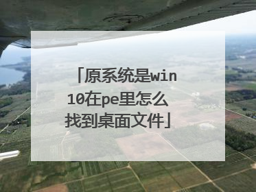 原系统是win10在pe里怎么找到桌面文件