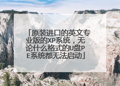 原装进口的英文专业版的XP系统,无论什么格式的U盘PE系统都无法启动