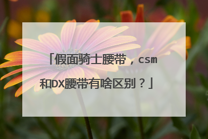 假面骑士腰带,csm和DX腰带有啥区别?