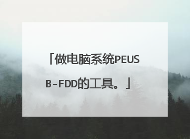 做电脑系统PEUSB-FDD的工具。