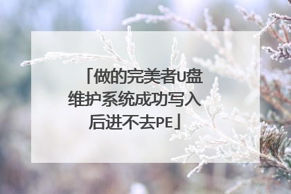 做的完美者U盘维护系统成功写入后进不去PE