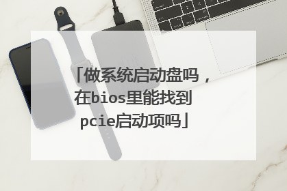 做系统启动盘吗,在bios里能找到pcie启动项吗