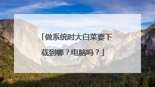 做系统时大白菜要下载到哪?电脑吗?