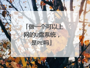 做一个可以上网的U盘系统,是PE吗