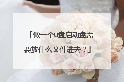 做一个U盘启动盘需要放什么文件进去？