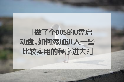 做了个DOS的U盘启动盘,如何添加进入一些比较实用的程序进去?
