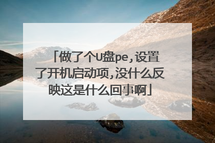 做了个U盘pe,设置了开机启动项,没什么反映这是什么回事啊