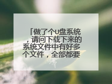 做了个U盘系统,请问下载下来的系统文件中有好多个文件,全部都要复制到U盘中吗,还是只要复制一个.chost