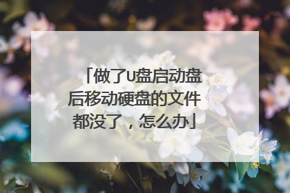 做了U盘启动盘后移动硬盘的文件都没了,怎么办