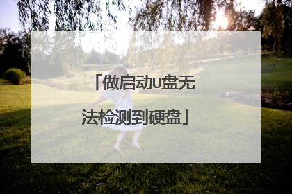 做启动U盘无法检测到硬盘