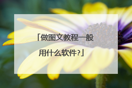 做图文教程一般用什么软件?