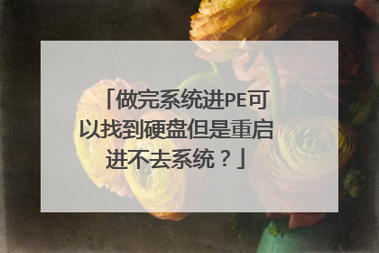 做完系统进PE可以找到硬盘但是重启进不去系统?
