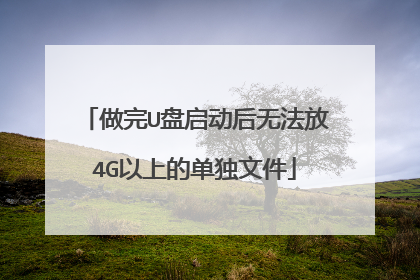 做完U盘启动后无法放4G以上的单独文件