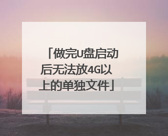 做完U盘启动后无法放4G以上的单独文件