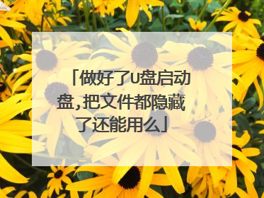 做好了U盘启动盘,把文件都隐藏了还能用么