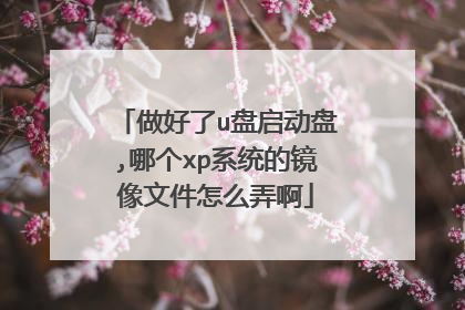 做好了u盘启动盘,哪个xp系统的镜像文件怎么弄啊