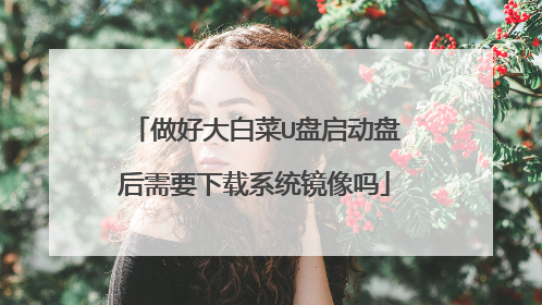 做好大白菜U盘启动盘后需要下载系统镜像吗