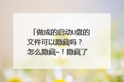 做成的启动U盘的文件可以隐藏吗? 怎么隐藏~!隐藏了之后可以用的吗?