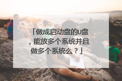 做成启动盘的U盘，能放多个系统并且做多个系统么？