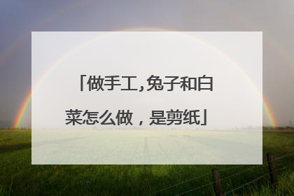 做手工,兔子和白菜怎么做，是剪纸
