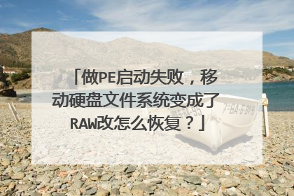 做PE启动失败，移动硬盘文件系统变成了RAW改怎么恢复？